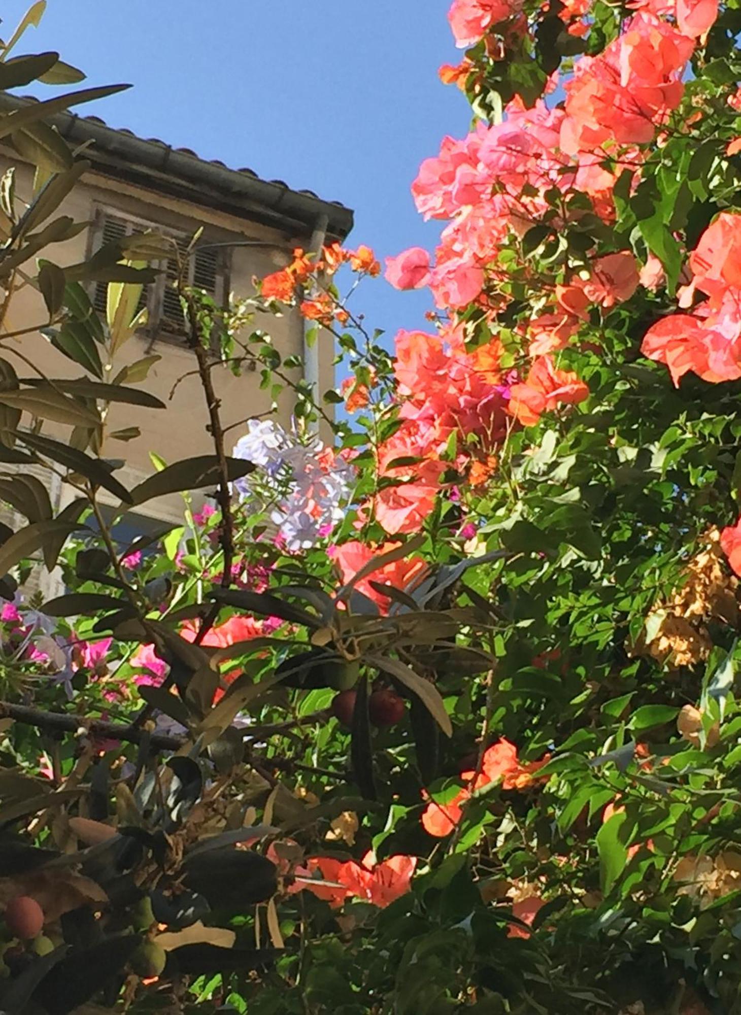 Maison Olea Marseilles Exterior foto